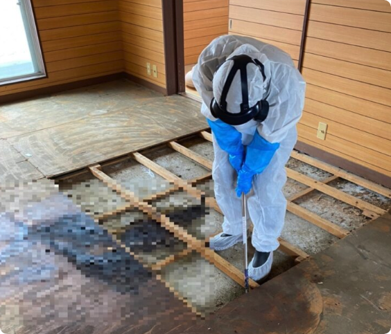 他社で取りきれなかった「臭い」も納得するまで何度でも徹底的に向き合います